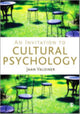 Book cover of: Invitation to Cultural Psychology. By: Jaan Valsiner