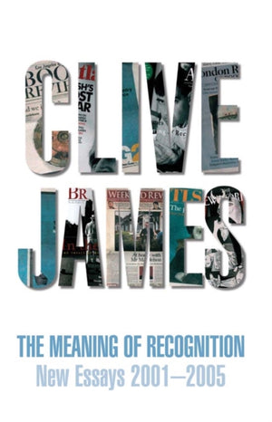 Meaning of Recognition