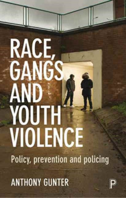 Book cover of: Race, Gangs and Youth Violence. By: Anthony Gunter