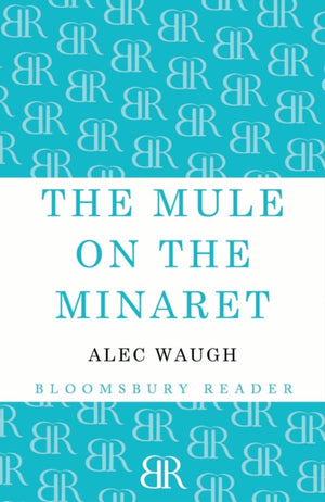 The Mule on the Minaret