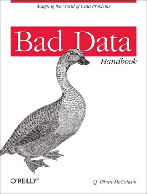 Book cover of: Bad Data Handbook