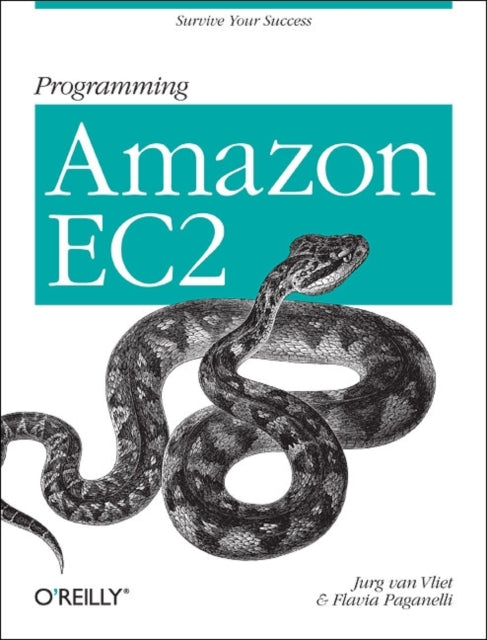 Book cover of: Programming Amazon EC2. By: Jurg van Vliet