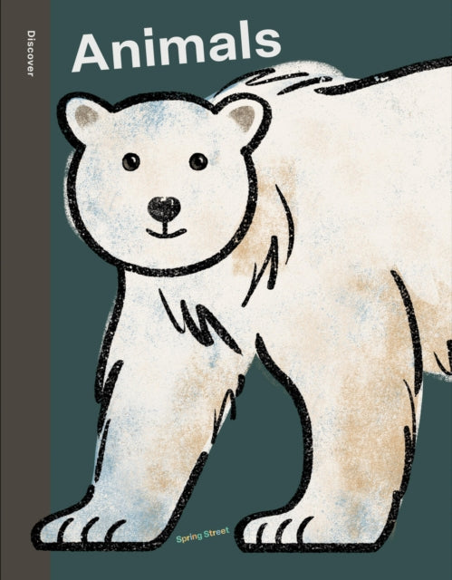 Book cover of: Spring Street Discover: Animals. By: Lo Cole