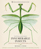 Book cover of: Innumerable Insects. By: Michael S. Engel