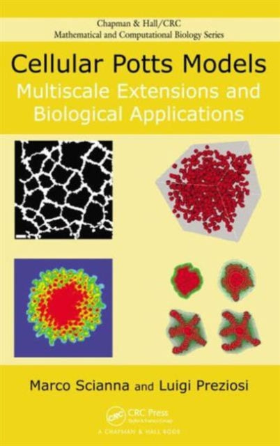 Book cover of: Cellular Potts Models