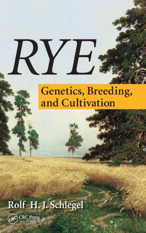 Rye