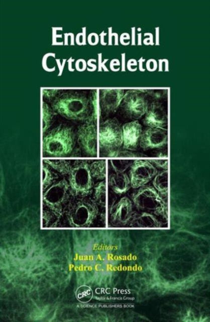 Book cover of: Endothelial Cytoskeleton. By: Juan A. Rosado