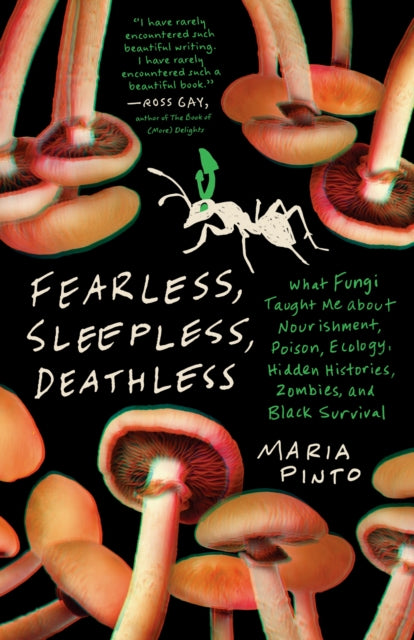 Book cover of: Fearless, Sleepless, Deathless