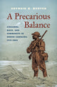 Book cover of: Precarious Balance