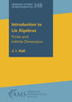 Book cover of: Introduction to Lie Algebras. By: J. I. Hall