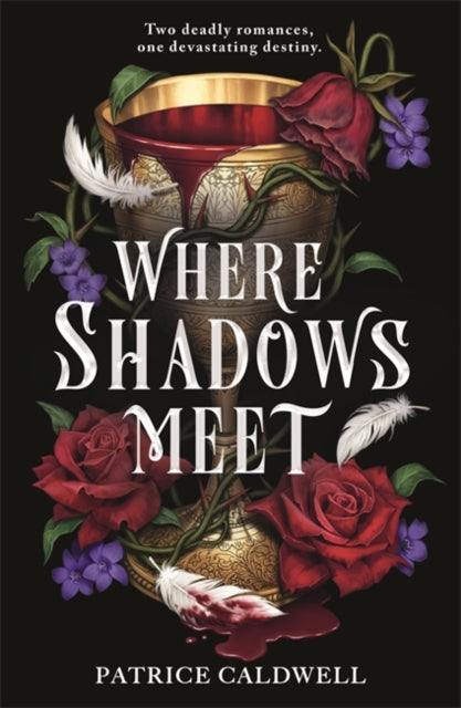 Book cover of: Where Shadows Meet