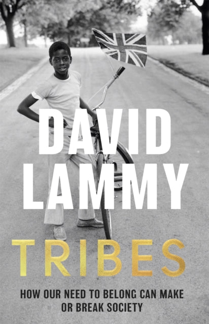 Book cover of: Tribes. By: David Lammy
