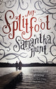 Book cover of: Mr Splitfoot. By: SAMANTHA HUNT