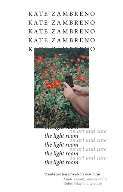 Book cover of: Light Room. By: Kate Zambreno