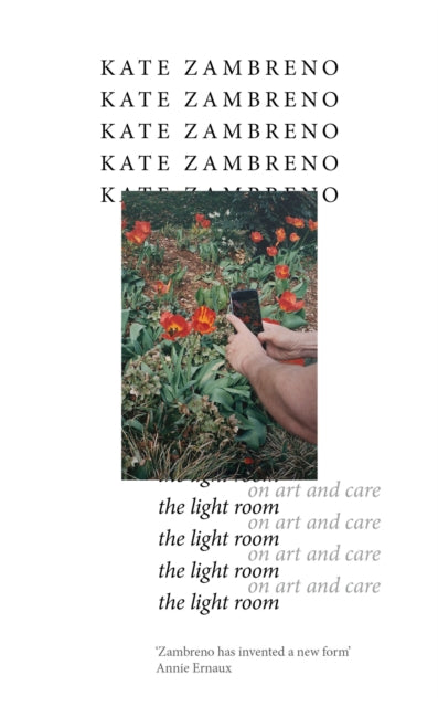 Book cover of: Light Room. By: Kate Zambreno