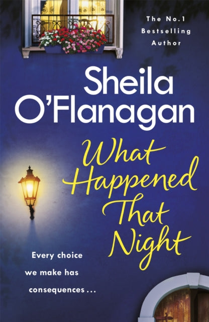 Book cover of: What Happened That Night. By: SHEILA O'FLANAGAN