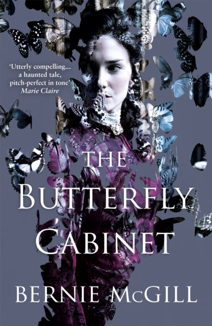 Book cover of: Butterfly Cabinet. By: Bernie McGill