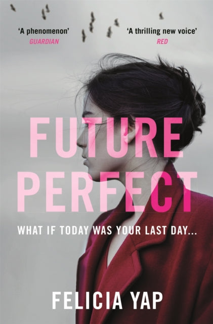 Book cover of: Future Perfect. By: Felicia Yap