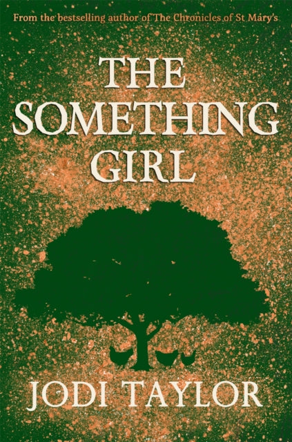 Book cover of: Something Girl. By: Jodi Taylor