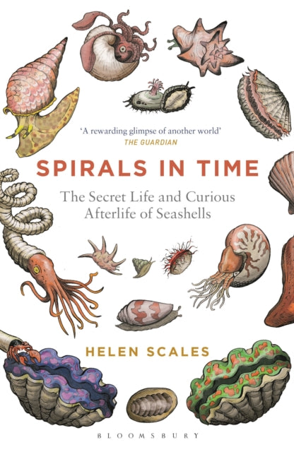 Spirals in Time