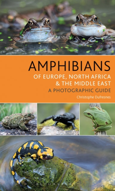 Book cover of: Amphibians of Europe, North Africa and the Middle East. By: Christophe Dufresnes