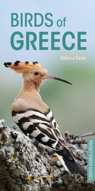 Book cover of: Birds of Greece. By: Rebecca Nason
