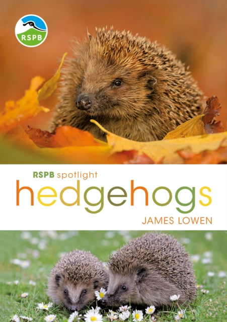 Book cover of: RSPB Spotlight Hedgehogs. By: James Lowen