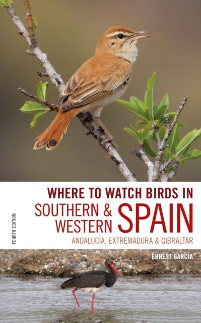 Book cover of: Where to Watch Birds in Southern and Western Spain. By: Ernest Garcia