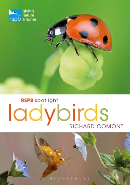 Book cover of: RSPB Spotlight Ladybirds. By: Richard Comont