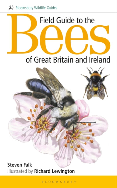 Book cover of: Field Guide to the Bees of Great Britain and Ireland. By: Steven Falk