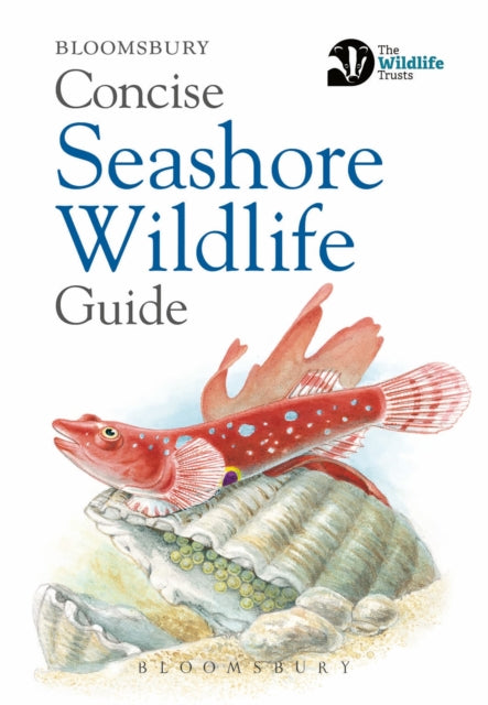 Book cover of: Concise Seashore Wildlife Guide. By: Bloomsbury USA