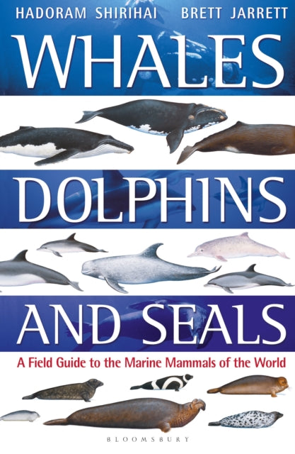 Book cover of: Whales, Dolphins and Seals. By: Brett Jarrett
