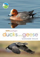 Book cover of: RSPB Spotlight Ducks and Geese. By: Marianne Taylor