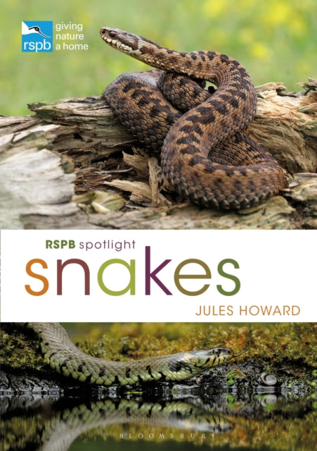 Book cover of: RSPB Spotlight Snakes. By: Jules Howard