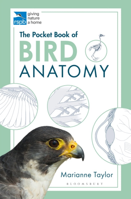 Book cover of: Pocket Book of Bird Anatomy. By: Marianne Taylor