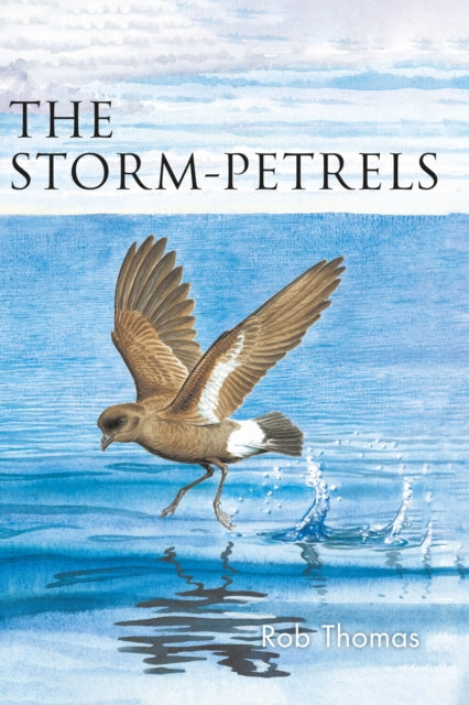 Book cover of: Storm-petrels. By: Rob Thomas