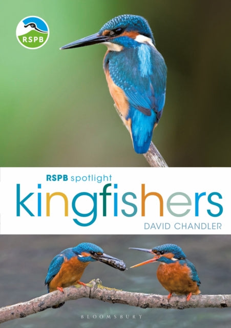 Book cover of: RSPB Spotlight Kingfishers. By: Chandler, David