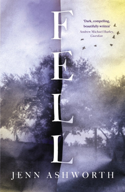 Book cover of: Fell. By: Jenn Ashworth