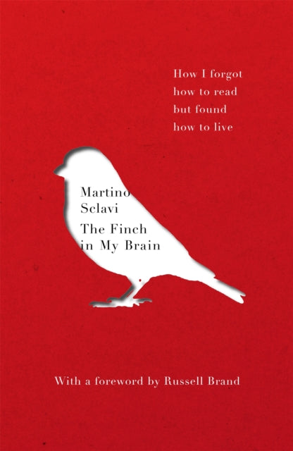 Book cover of: Finch in My Brain. By: Martino Sclavi