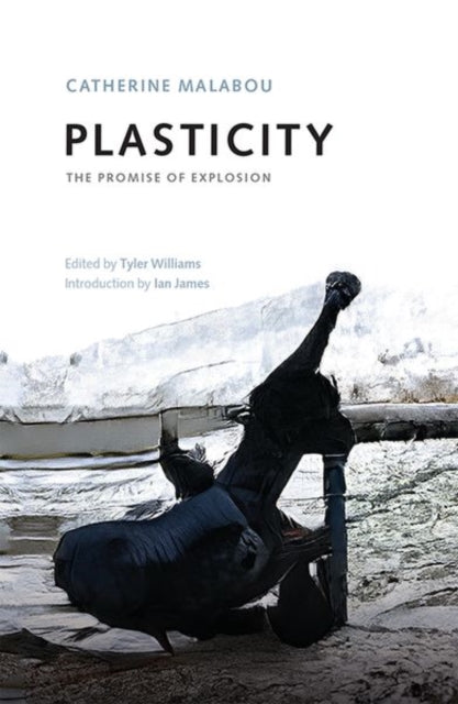 Book cover of: Plasticity. By: Catherine Malibou