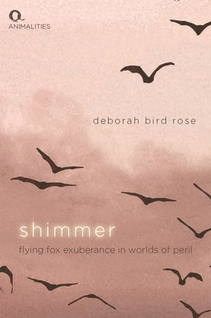 Shimmer