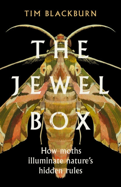 Book cover of: Jewel Box. By: Tim Blackburn
