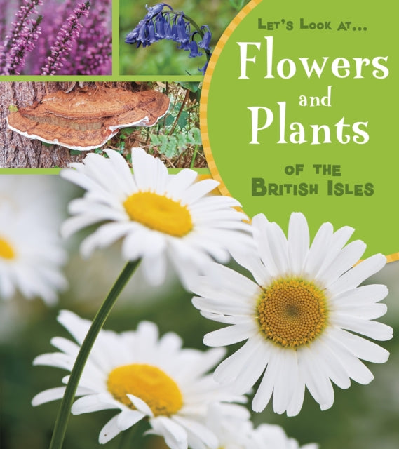 Book cover of: Flowers and Plants of the British Isles