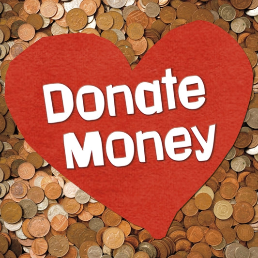 Book cover of: Donate Money. By: Emily Raij