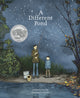Book cover of: Different Pond. By: Bao Phi