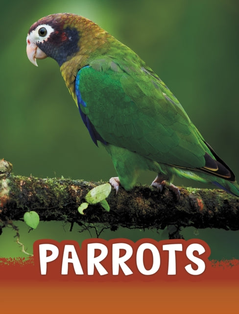 Book cover of: Parrots. By: Mari C. Schuh