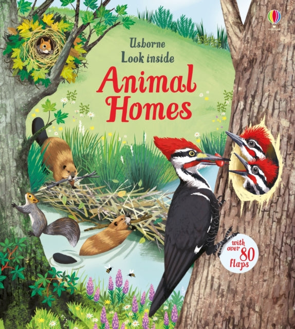 Look Inside Animal Homes 9781474942928 BONE, EMILY