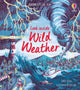 Look Inside Wild Weather 9781474968874 Emily Bone