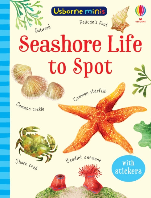 Book cover of: Seashore Life to Spot. By: Rosamond Smith