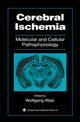 Book cover of: Cerebral Ischemia. By: Wolfgang Walz